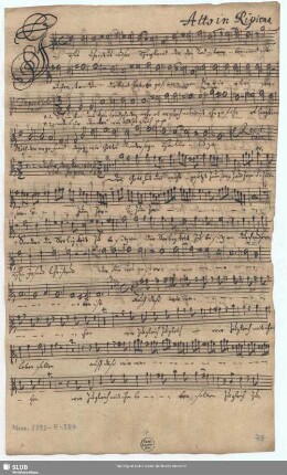 Alto in Ripieno. [transp.]