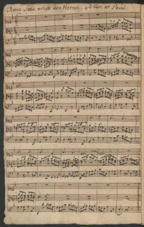 Meine Seele erhebt den Herren; org; d-Moll; BWV 648