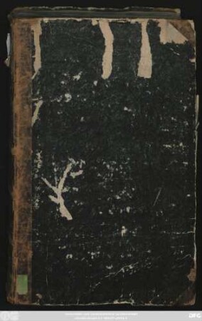 Ternio Epigrammatum Nuptiis auspicatissimis, ad d. 25. Octob. Torgae celebrandis: ... Dn. Pauli Bossovii ... Secundum Sponsi: Et Praestantißimae Virginis Ursulae, Sponsae, ... Dn. Pauli Ringenhains dilectae filiae: