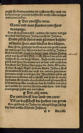 Der .xiij. vers.