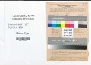 Entnazifizierung Egon Hesse , geb. 18.06.1910 (Landwirt)