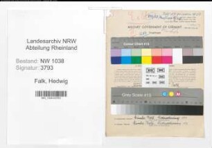 Entnazifizierung Hedwig Falk , geb. 18.08.1894 (Bueroangestellte)