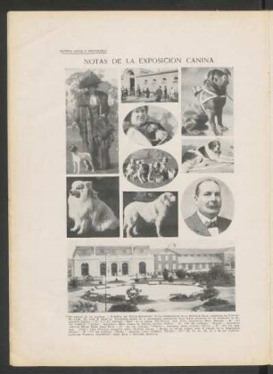 Notas de la exposición canina - [Fotografías]