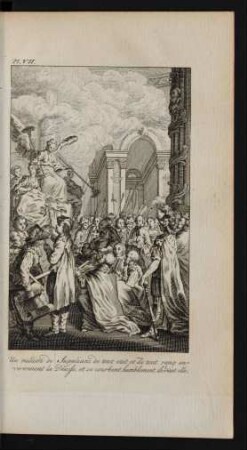 Pl. VII.