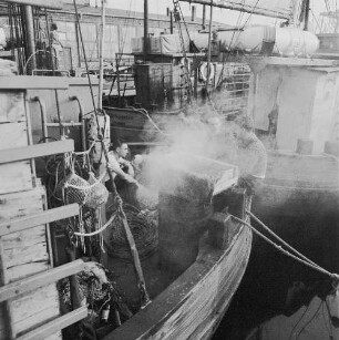 Fischereigenossenschaft Stralsund (FGS). Fischer auf dem Kutter "Hein Dornquast" im Hafen