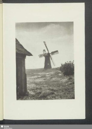 Auf dem Land III