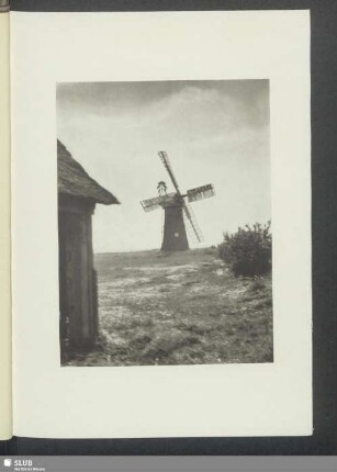 Auf dem Land III