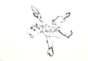 FLIEGENDER