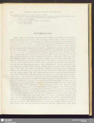 Eintheilung