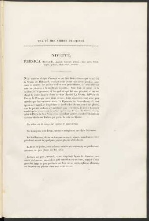 Nivette. Persica Merleti ...