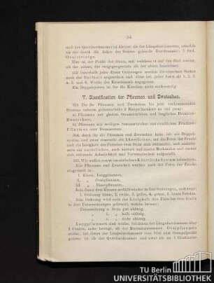 VI. Classification der Pflaumen und Zwetschen.