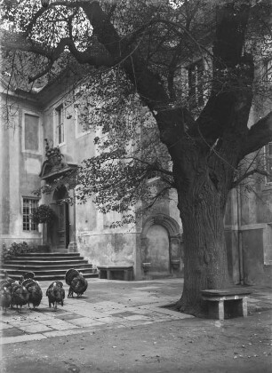 Schloss Promnitz : Rochsburg. Schloss. Schlosshof mit Truthähnen