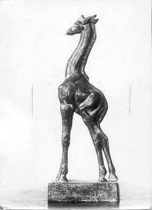 Junge stehende Giraffe