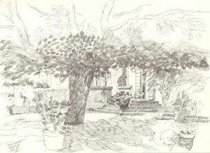 Provence 1995