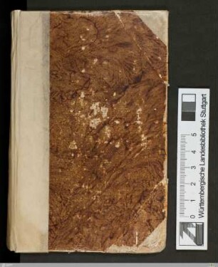 Stammbuch Johann Michael Weckherlin - Cod.hist.oct.218