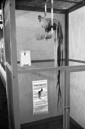 25. Landesgeflügelausstellung des Landesverbands Badischer Rassegeflügelzüchter in der Karlsruher Oststadthalle