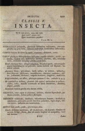 Classis V. Insecta