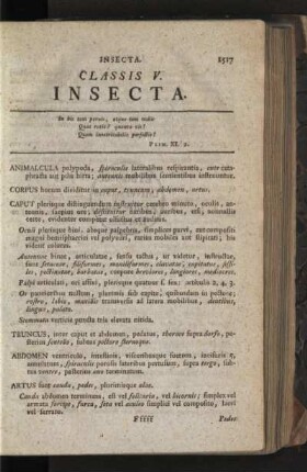 Classis V. Insecta