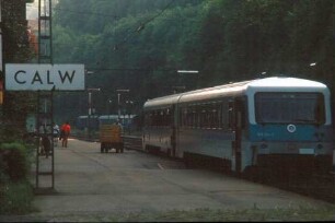 Calw VT 628 254 N3667 PF-HOR Expressgutverladung Gepäckkarren Ladepersonal