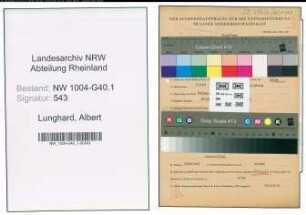 Entnazifizierung Albert Lunghard , geb. 09.06.1905 (Angestellter)