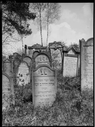 Hemsbach Judenfriedhof Grabsteine