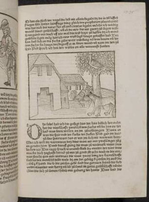 Der Hahn wird vom Fuchs gefressen; (Kapitel IV: Von der Taube und von treuen Gefährten).