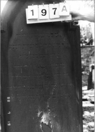 Grabstein 197 (Index: 100094374) Material: Sandstein Zustand: abgeblättert, verwittert, Textverlust Maße HxBxT: 184x69x14 cm Beschreibung: Stele, eingezogener Rundbogenabschluß, Schriftfeld eingetieft: Grabstein 197A
