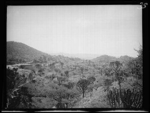 Adwa (Eritrea): Hügeliges Land mit Vegetation ("Schlachtfeld von 1896")