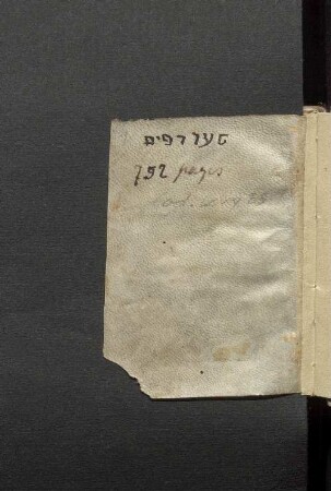Cod. levy 25,3 [Liturgie zu den ausgezeichneten Schabbaten, Pessach, Shavuʿot]