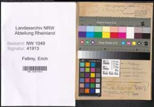 Entnazifizierung Erich Fellmy , geb. 17.08.1905 (Angestellter)