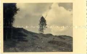 Landschaft