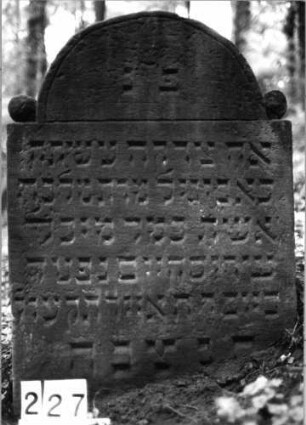 Grabstein 227 (Index: 99803319) Material: Sandstein Zustand: gut Maße HxBxT: 92x70x13 cm Beschreibung: Stele mit eingezogenem Rundbogen und Seitenakroterien Symbolik: Seitenakroterien: Grabstein 227