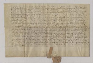 Martin Mayer und Balthasar Yelin, beide von Erbishofen [Gde. Pfaffenhofen a. d. Roth/Lkr. Neu-Ulm], verkaufen der Gemeinde Erbishofen ihre ungefähr 5 Jauchert Gehölz im Eschach zwischen Peter Weigmann von Roth ("Rott") [Gde. Pfaffenhofen a. d. Roth/Lkr. Neu-Ulm] und Thomas Stegmann von Erbishofen für 55 Gulden. Sie übertragen der Gemeinde alle Rechte, die ihnen bisher an dem Gehölz zugestanden haben, und übernehmen die Gewährleistung für den Verkauf.