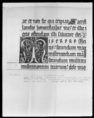 Psalterium mit Kalendarium — Initiale M (iserere)