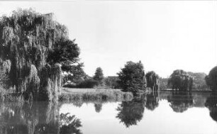 Boxberg/O.L.. Hammerteich