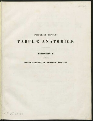 Fasc. 1: Icones Cerebri Et Medullæ Spinalis : Decem Tabulae Elaboratae Et Totidem Adumbratae