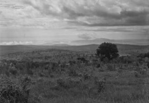Savannenlandschaft : Savanne bei Dembi Dolo