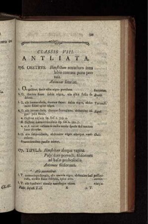 CLASSIS VIII ANTLIATA