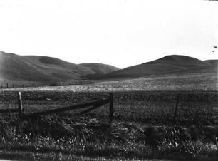 Landschaft : Weidelandschaft mit Bergen im Hintergrund