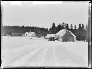 Sauschwemme W