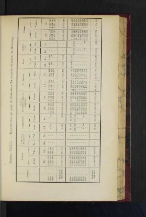 Tableau XXXIII.