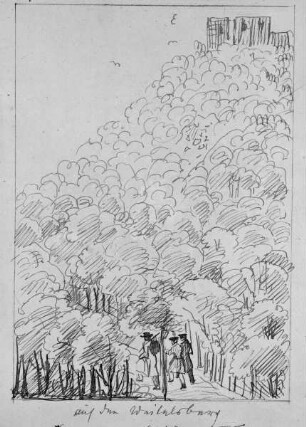 Eine Wanderung zu Fuß: Auf dem Weidelsberg (Blatt 4)