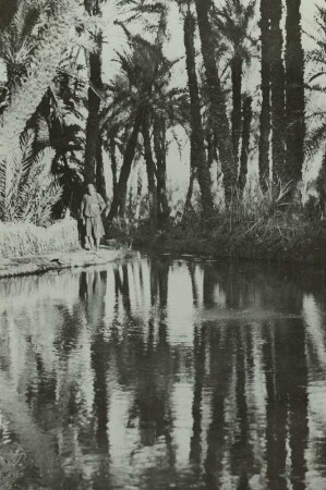 Ägypten. Brunnenbecken in der Oase Charga