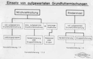 Einsatz von aufgewerteten Grundfuttermischungen