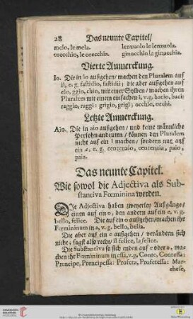 Das neunte Capitel