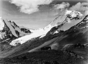 Huayna Potosí : Blick auf den Huayna Potosí vom Südwesten. Im Vordergrund Männer, Maultiere und ein Hund.