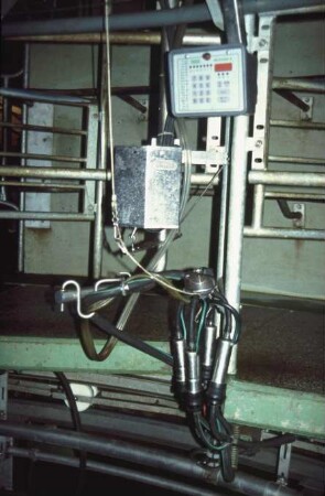Fotografie: Melktechnik, Melkstand, Melkzeug