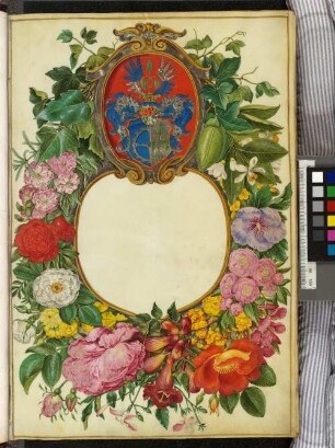 Moller-Florilegium (2) des Hans Simon Holtzbecker