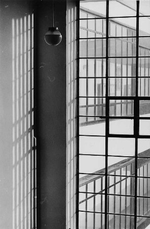 Bauhaus. Blick vom Inneren durch die verglaste Fassade