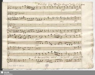 Leucippo. Excerpts - Mus.2477-F-120,10 : S, strings, bc